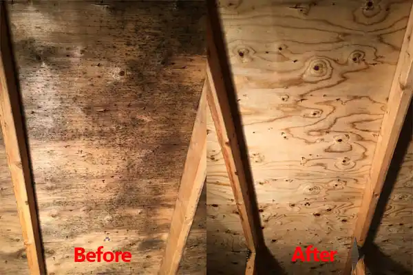 water damage restoration service South St. Paul
